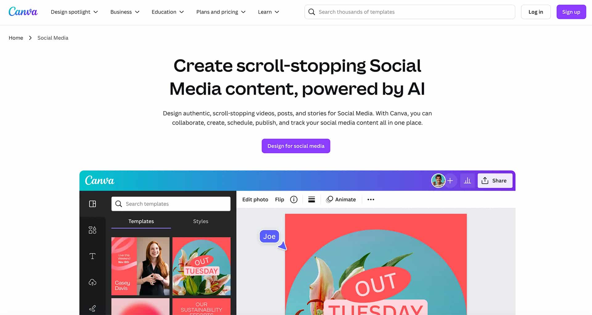 canva כלי AI מובילים ליצירת תוכן ברשתות חברתיות